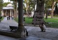 13 b_DSC_0221